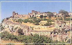 Chittaurgarh Fort, Rajasthan Travel & Tourism